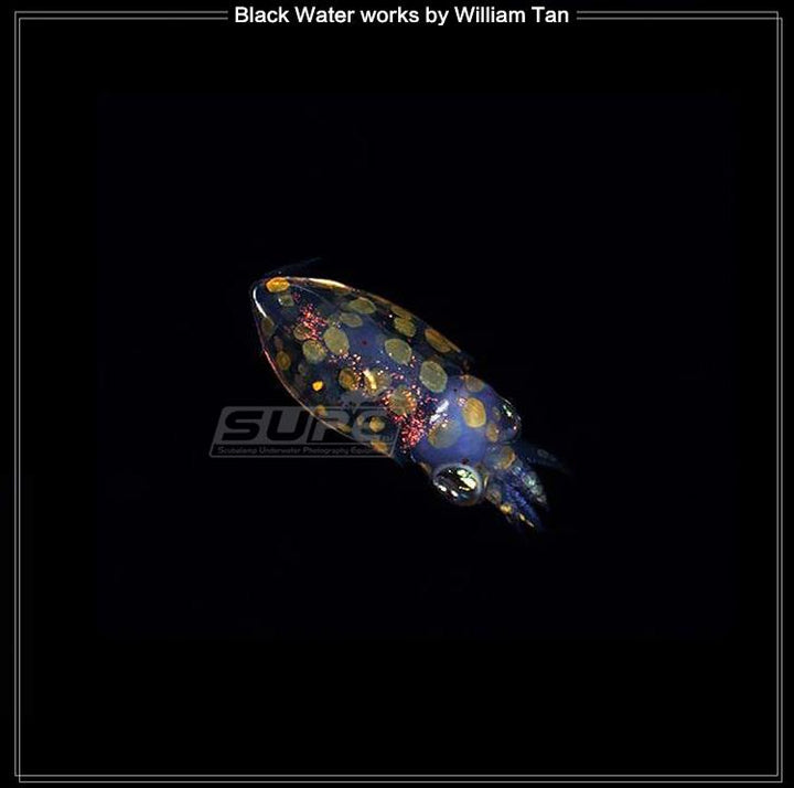 V6K v2 -12,000 lumens Powerful Video Light in Travel Package