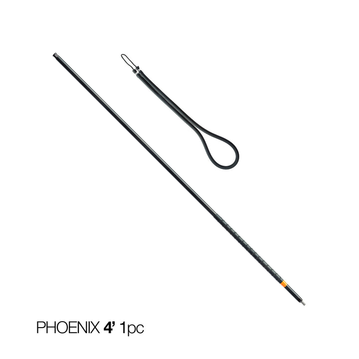 Phoenix 4'